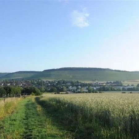 Landpension Wachtkopf Vaihingen an der Enz Buitenkant foto