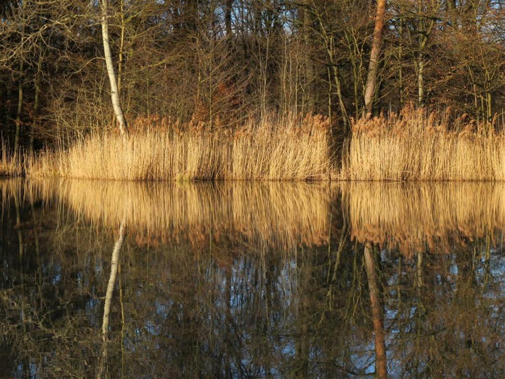 Landpension Wachtkopf Vaihingen an der Enz Buitenkant foto