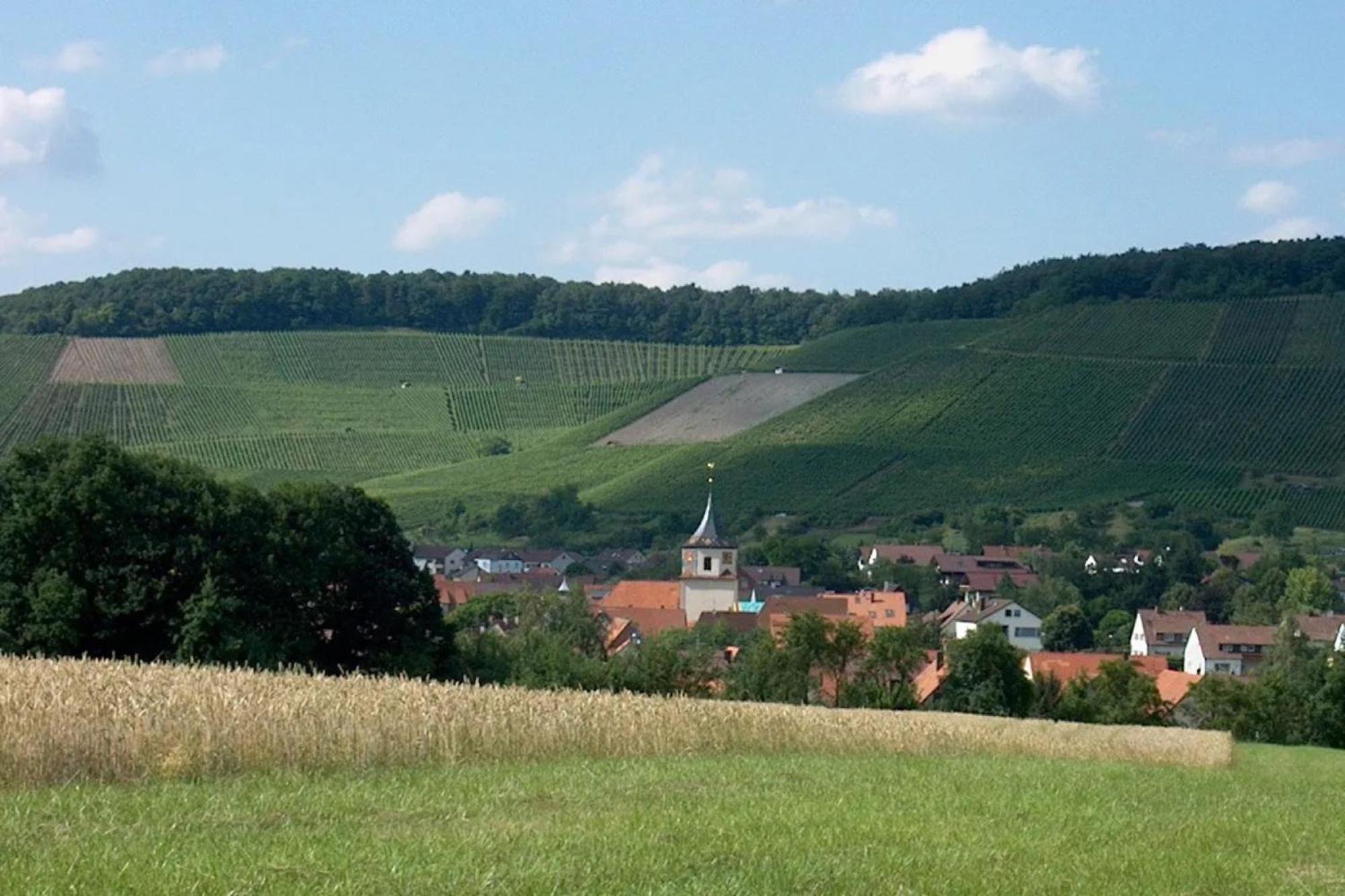 Landpension Wachtkopf Vaihingen an der Enz Buitenkant foto